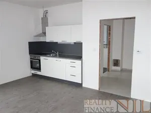 Pronájem bytu 1+kk, Plzeň, Na Horničce, 35 m2