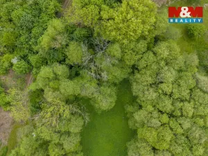 Prodej lesa, Červené Pečky - Bohouňovice I, 491 m2