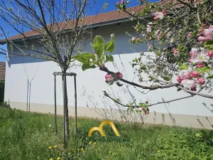 Prodej chalupy, Veliny, 72 m2