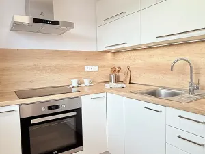 Pronájem bytu 1+1, Liberec, Letná, 39 m2