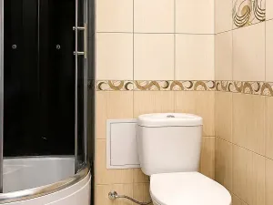 Pronájem bytu 1+kk, Ostrava, Krakovská, 27 m2