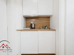 Pronájem bytu 1+kk, Ostrava, Cihelní, 19 m2