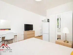 Pronájem bytu 1+kk, Ostrava, Cihelní, 19 m2