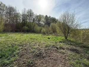 Prodej pozemku pro bydlení, Bušín, 3553 m2