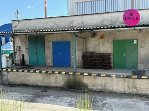 Pronájem skladu, Frýdlant nad Ostravicí, 28 m2