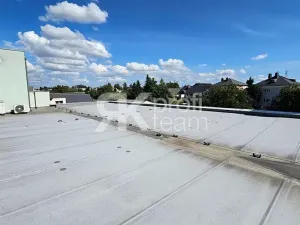 Prodej činžovního domu, Opava, Slezská, 1300 m2