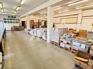 Prodej činžovního domu, Opava, Slezská, 1300 m2