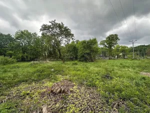 Prodej pozemku pro bydlení, Velká Kraš, 1290 m2