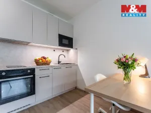 Prodej bytu 1+kk, Praha - Žižkov, Tetauerova, 33 m2