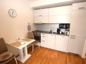 Pronájem bytu 1+kk, Dobříš, U Pivovaru, 30 m2