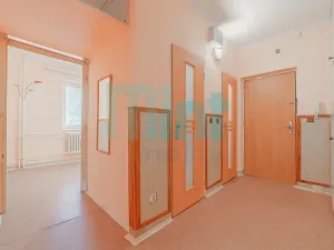 Prodej bytu 2+1, Ostrava, Jižní, 51 m2
