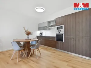 Pronájem bytu 2+kk, Mladá Boleslav - Mladá Boleslav I, Železná, 81 m2