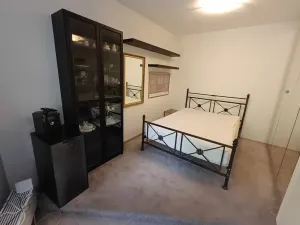 Pronájem bytu 1+kk, Praha - Podolí, Brabcova, 44 m2