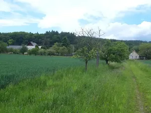 Prodej pozemku pro bydlení, Lipinka, 4373 m2