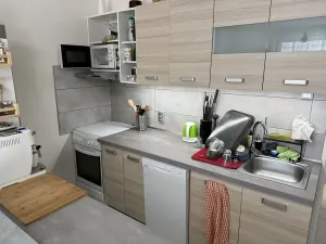 Pronájem bytu 2+1, Praha - Čimice, Brandýská, 52 m2