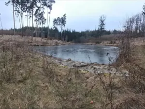 Pronájem rybníku, Hostim, 3504 m2