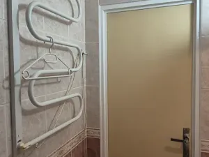 Pronájem bytu 2+kk, Mladá Boleslav, Jana Palacha, 45 m2