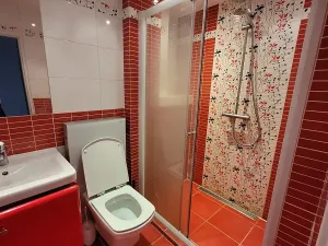 Pronájem bytu 2+1, Ostrava, Sokolská třída, 48 m2