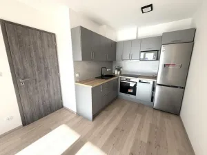 Pronájem bytu 2+kk, Brno - Černá Pole, třída Generála Píky, 56 m2