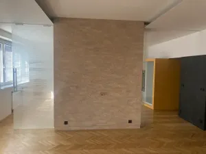 Pronájem bytu 1+1, Brno, Kotlářská, 89 m2
