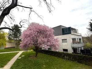 Pronájem bytu 3+1, Brno, Vrbenského, 64 m2