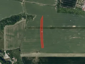Prodej pole, Osvětimany, 4331 m2
