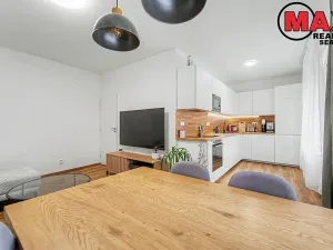 Prodej bytu 2+kk, Praha - Žižkov, Pod lipami, 53 m2