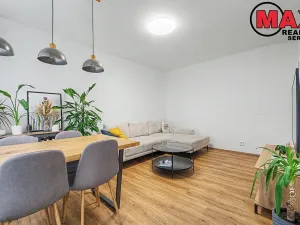 Prodej bytu 2+kk, Praha - Žižkov, Pod lipami, 53 m2