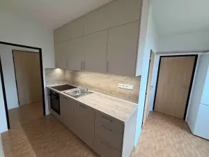 Pronájem bytu 3+1, Jihlava, S. K. Neumanna, 74 m2