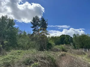 Prodej pozemku, Boršov nad Vltavou, Šumavská, 3633 m2