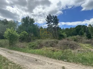 Prodej komerčního pozemku, Boršov nad Vltavou, Šumavská, 3633 m2