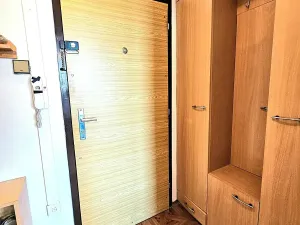 Prodej bytu 2+1, Olomouc, Zelená, 45 m2