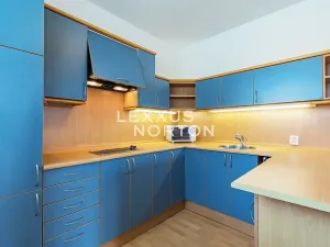 Pronájem bytu 3+kk, Praha - Motol, Lékařská, 85 m2