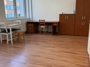 Pronájem bytu 1+kk, Praha - Nusle, Bartoškova, 36 m2