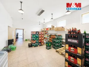 Prodej obchodního prostoru, Měrunice, 210 m2