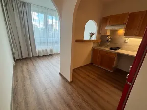 Prodej bytu 1+kk, Frýdek-Místek, 17. listopadu, 23 m2