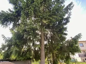 Prodej zahrady, Železnice, 621 m2