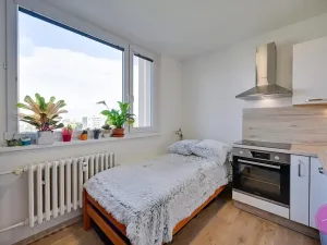 Prodej bytu 1+1, Olomouc, Heyrovského, 32 m2