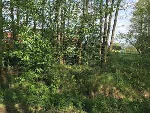 Prodej pozemku pro bydlení, Dobříkov, 1247 m2