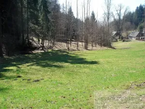 Prodej chalupy, Krásná Lípa, 180 m2