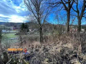 Prodej domu, Staré Buky - Prostřední Staré Buky, 341 m2