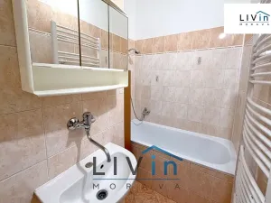 Pronájem bytu 1+1, Olomouc, Krakovská, 46 m2