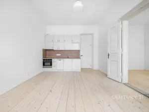 Pronájem bytu 2+kk, Praha - Nusle, Sezimova, 53 m2