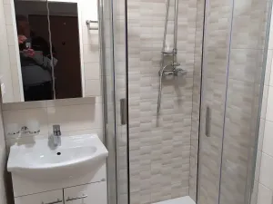 Pronájem bytu 1+1, Benešov, Nová Pražská, 42 m2