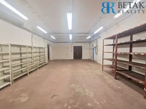 Pronájem obchodního prostoru, Přerov, Teličkova, 257 m2