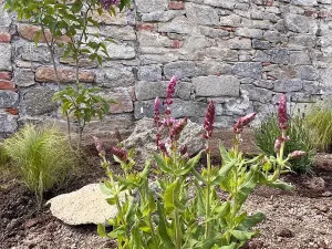 Prodej chalupy, Zalužany, 70 m2