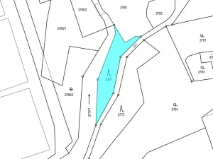 Prodej lesa, Frýdek-Místek, 11710 m2