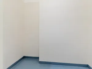 Pronájem bytu 1+kk, Praha - Žižkov, Malešická, 39 m2