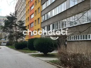 Pronájem bytu 1+kk, Pardubice, Okrajová, 28 m2