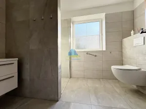 Prodej rodinného domu, Františkovy Lázně - Horní Lomany, Lomanská, 174 m2